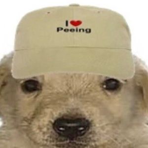 Meet your Posher, Ashlynn